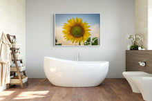 Load image into Gallery viewer, Sunflower Golden Hour