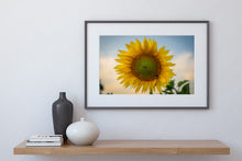 Load image into Gallery viewer, Sunflower Golden Hour