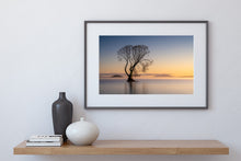 Load image into Gallery viewer, single tree lake taupo sunrise