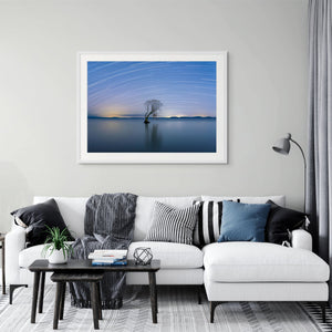 Taupo Tree Star Trails