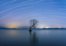 Load image into Gallery viewer, taupo star trails tree