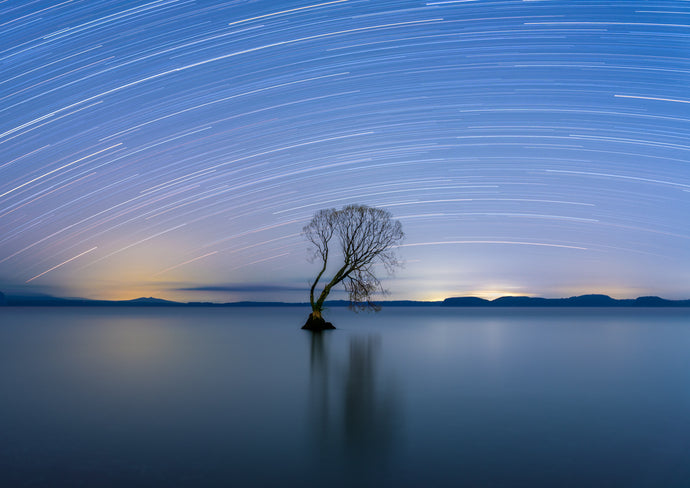 taupo star trails tree