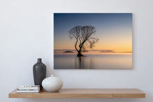 Load image into Gallery viewer, lone tree lake taupo sunrise