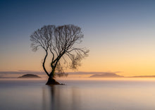 Load image into Gallery viewer, New Zealand 2026 Landscape Calendar