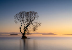 New Zealand 2026 Landscape Calendar