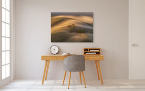 Te Mata Peak Valley Mist