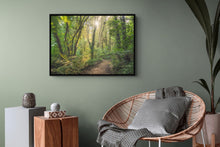 Load image into Gallery viewer, Waikato Fairytale Forest Light