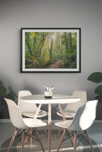 Load image into Gallery viewer, Waikato Fairytale Forest Light