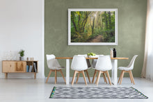 Load image into Gallery viewer, Waikato Fairytale Forest Light