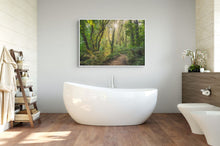 Load image into Gallery viewer, Waikato Fairytale Forest Light