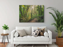 Load image into Gallery viewer, Waikato Fairytale Forest Light
