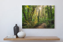Load image into Gallery viewer, Waikato Fairytale Forest Light