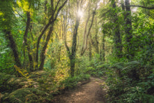 Load image into Gallery viewer, NZ 2027 Scenic Landscape Calendar
