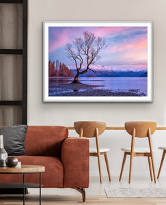 Wanaka Tree Winter Sunrise