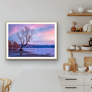 Wanaka Tree Winter Sunrise