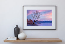 Load image into Gallery viewer, wanaka tree pink winter sunrise