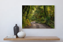 Load image into Gallery viewer, lush west coast forest road