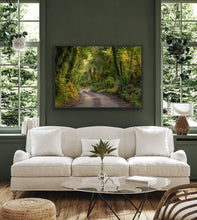 Load image into Gallery viewer, Lush West Coast Forest Road