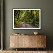 Load image into Gallery viewer, Lush West Coast Forest Road