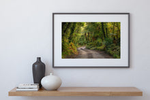 Load image into Gallery viewer, lush west coast forest road