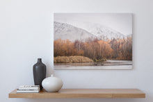 Load image into Gallery viewer, swans winter snow lake wairepo twizel