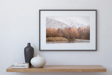 Load image into Gallery viewer, swans winter snow lake wairepo twizel