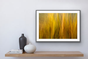 Yellow Orange Grass Abstract