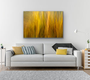 Yellow Orange Grass Abstract