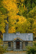 Load image into Gallery viewer, Autumn Arrowtown Golden Leaves