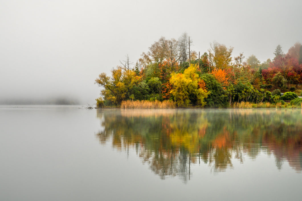 Autumn Mist Reflections Lake Tutira