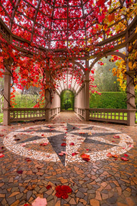 Autumn Colour Hamilton Gardens