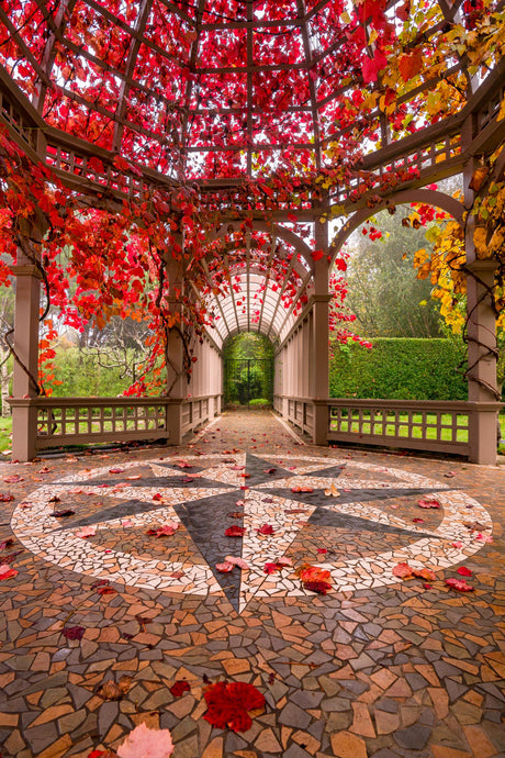 Autumn Colour Hamilton Gardens
