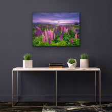 Load image into Gallery viewer, Lupins Moody Dawn Tekapo