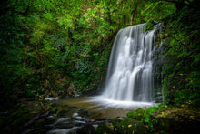 Load image into Gallery viewer, Matai Falls Catlins Forest