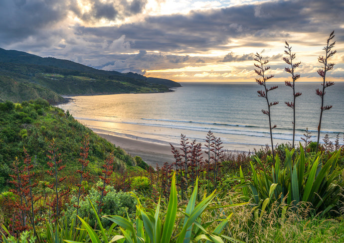 Sunset Raglan Pure New Zealand | Fine Art Prints | Canvas – Meghan Maloney Photography