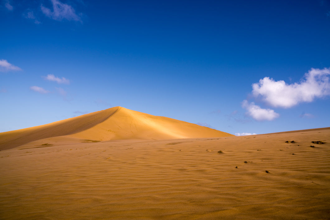 Te Paki Sand Dunes