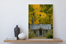 Load image into Gallery viewer, Autumn Arrowtown Golden Leaves
