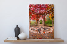 Load image into Gallery viewer, Autumn Colour Hamilton Gardens