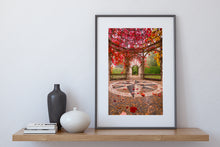Load image into Gallery viewer, Autumn Colour Hamilton Gardens
