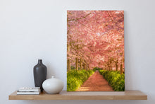 Load image into Gallery viewer, Cherry Blossom Golden Light