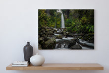 Load image into Gallery viewer, Dawson Falls Fern Fairyland Forest