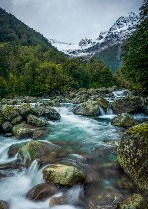 Donne River Valley Fiordland
