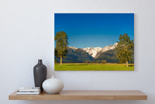 Load image into Gallery viewer, West Coast Glacier View