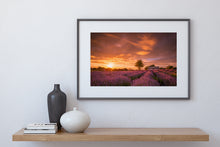 Load image into Gallery viewer, Lavender Field Sunset Glow