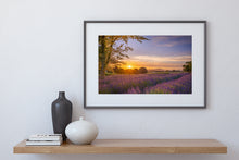 Load image into Gallery viewer, Lavender Farm Golden Sunset