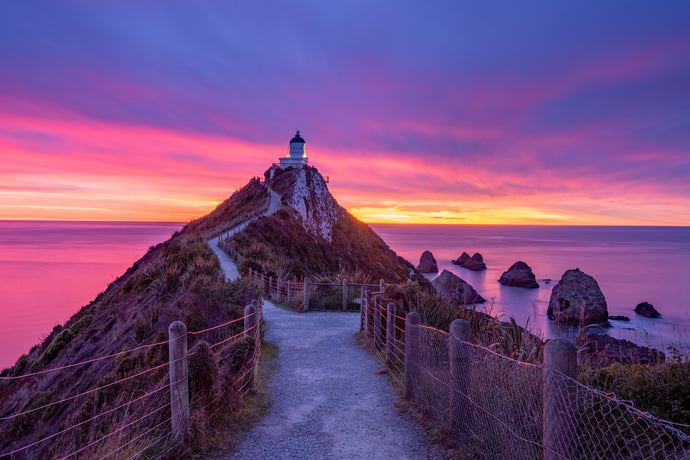 Nugget Point Incredible Dawn