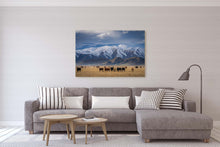 Load image into Gallery viewer, Mackenzie Country Cattle &amp; Mountains
