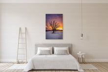 Load image into Gallery viewer, Coromandel Lone Tree Sunset