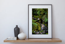 Load image into Gallery viewer, Lush West Coast Forest Ferns