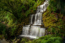 Load image into Gallery viewer, pukekura park waterfall new plymouth